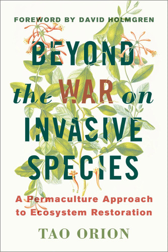 Beyond the war invasive - beyond, on